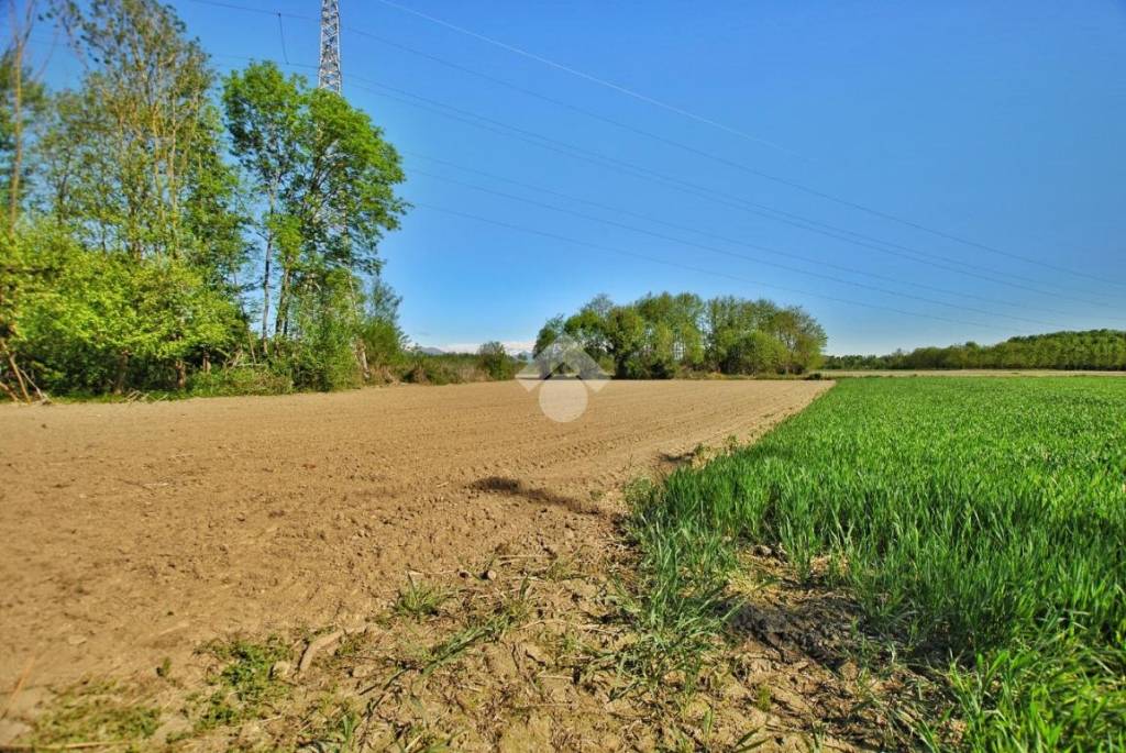 immagine annuncio 5 di 11