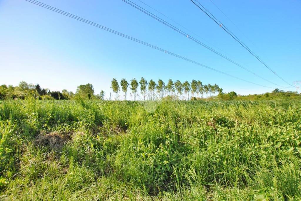 immagine annuncio 10 di 11