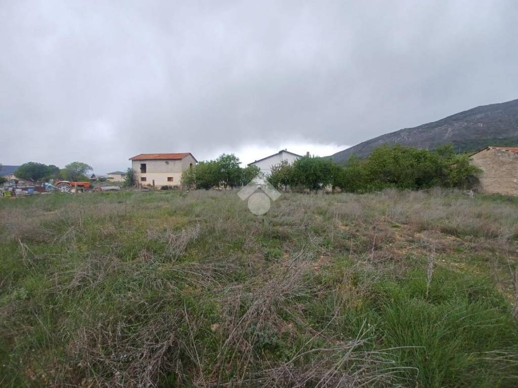 immagine annuncio 10 di 11