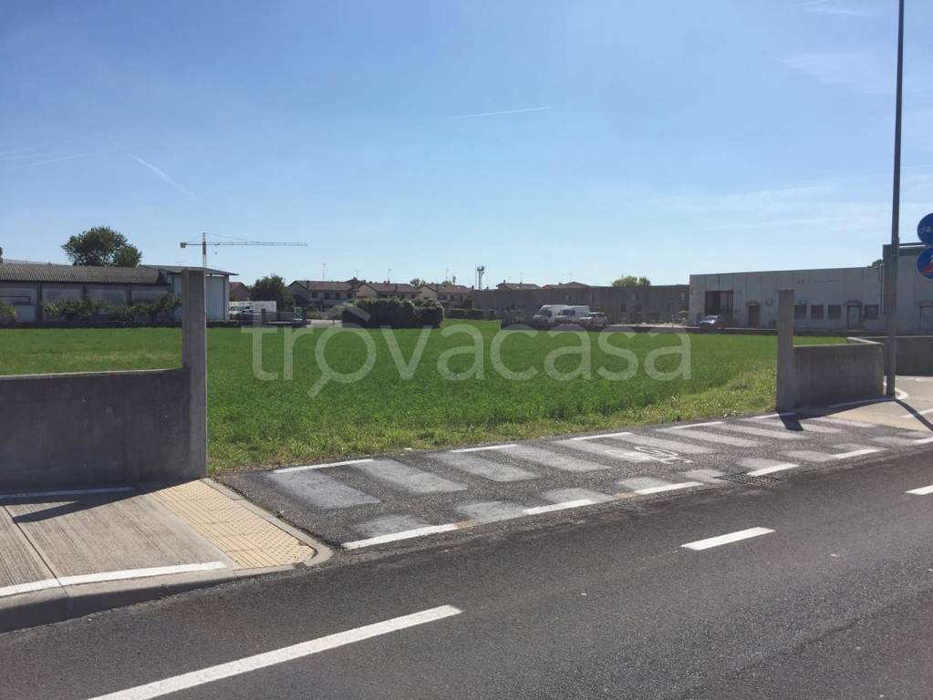immagine annuncio 2 di 12