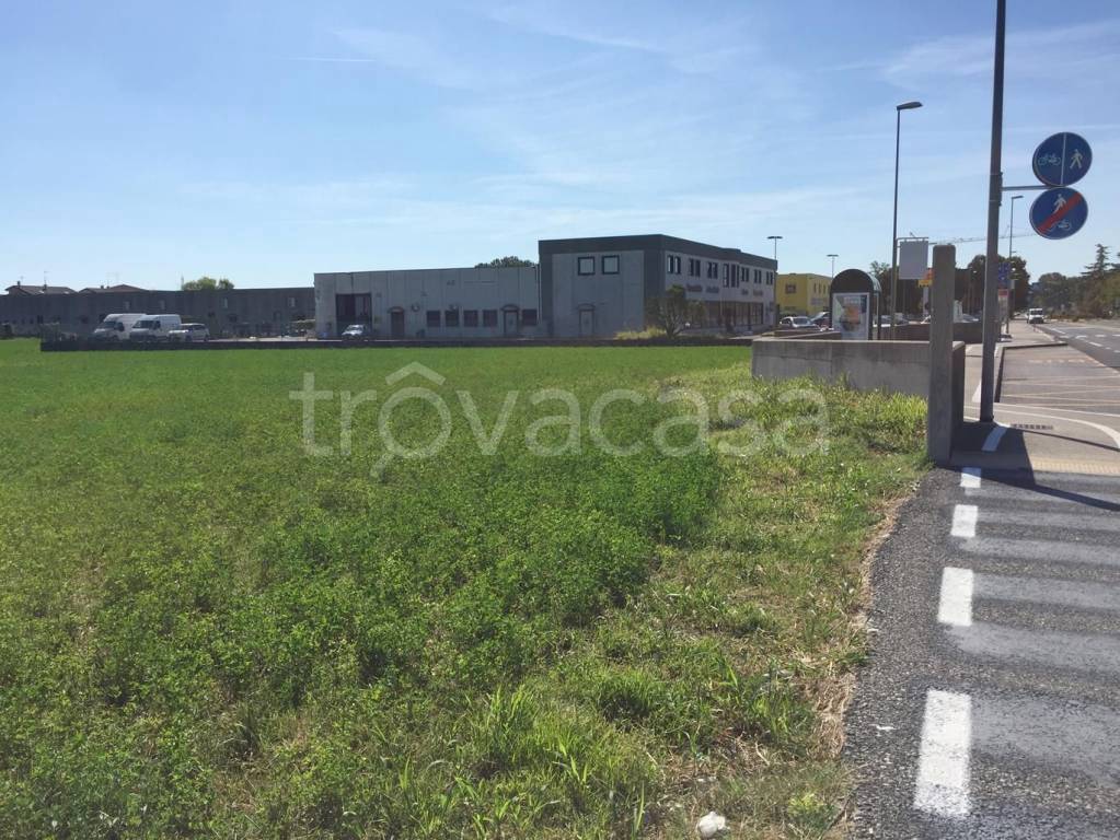 immagine annuncio 6 di 12