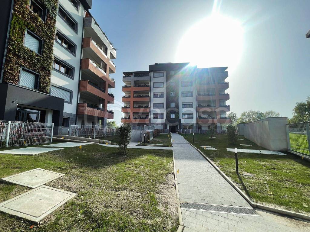 immagine annuncio 2 di 15