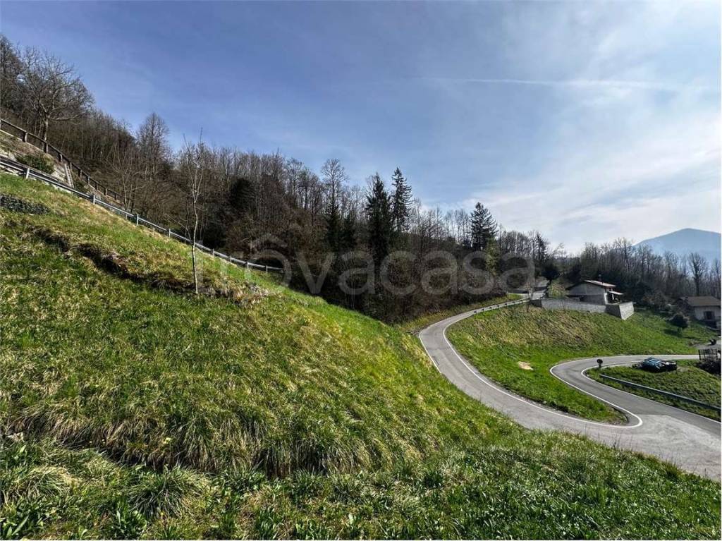 immagine annuncio 1 di 8