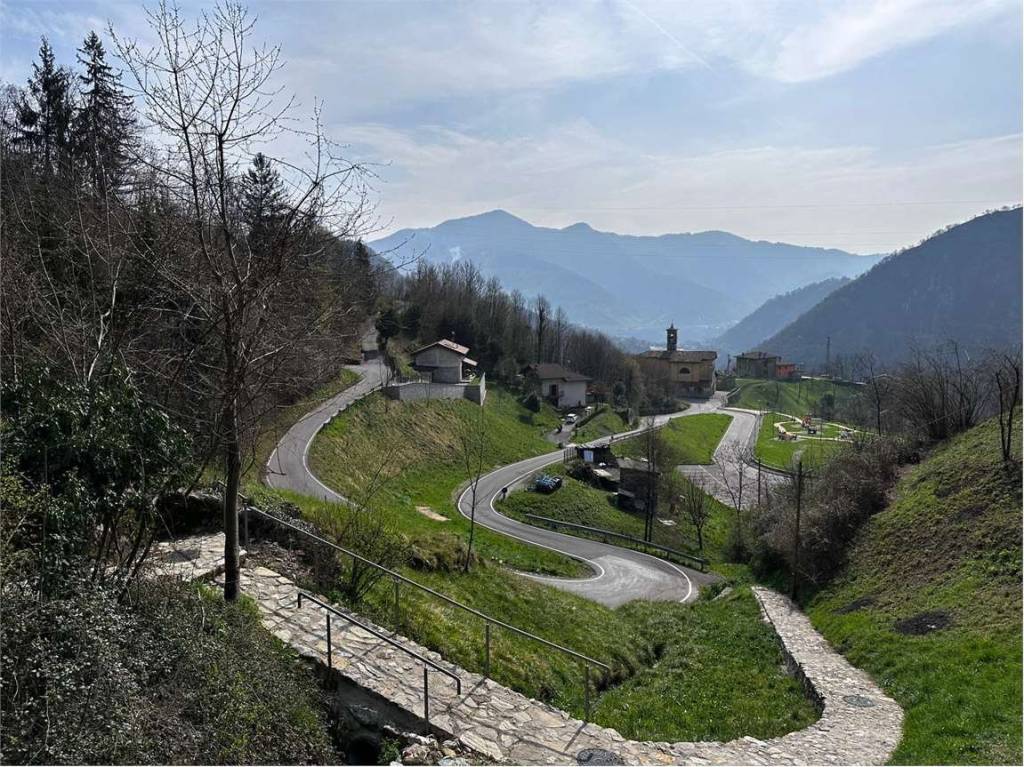 immagine annuncio 4 di 8