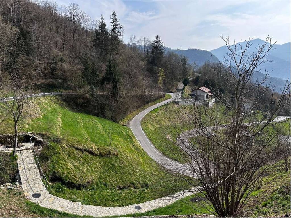 immagine annuncio 5 di 8