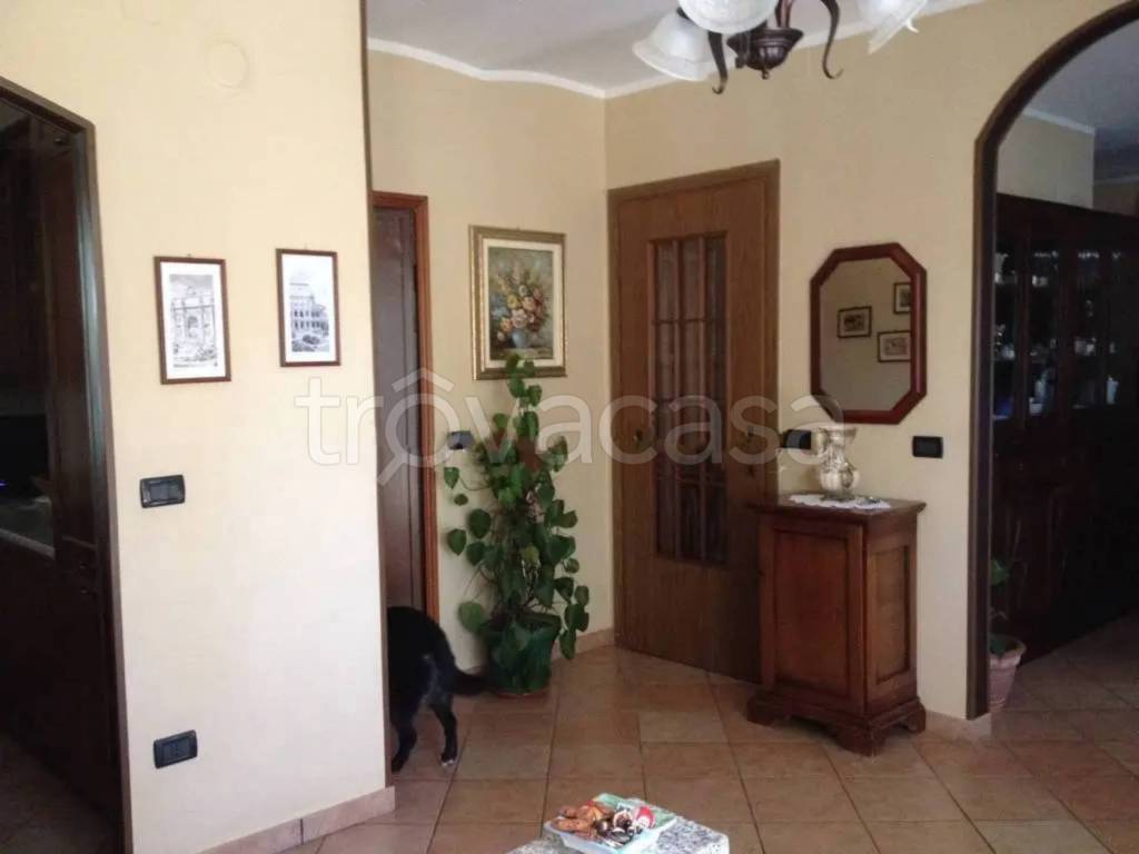 immagine annuncio 11 di 14