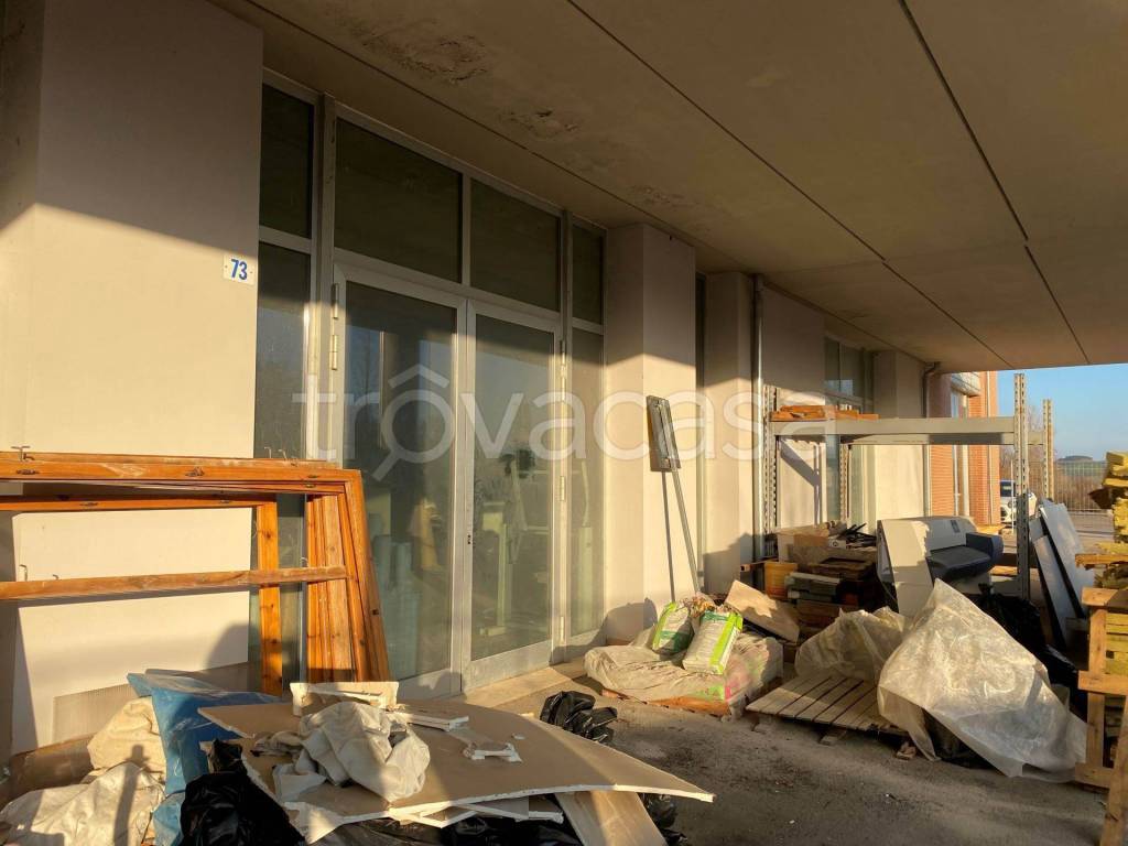 immagine annuncio 5 di 8