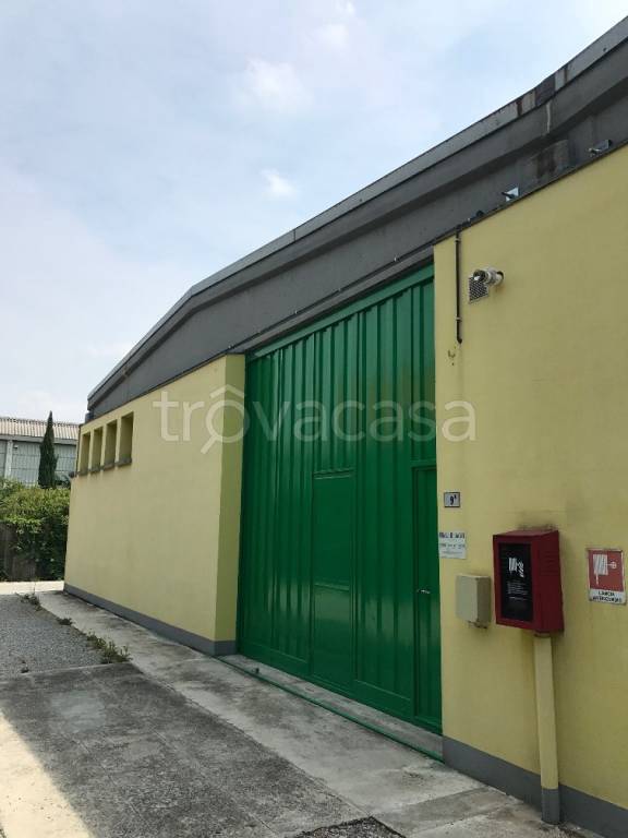 immagine annuncio 3 di 8