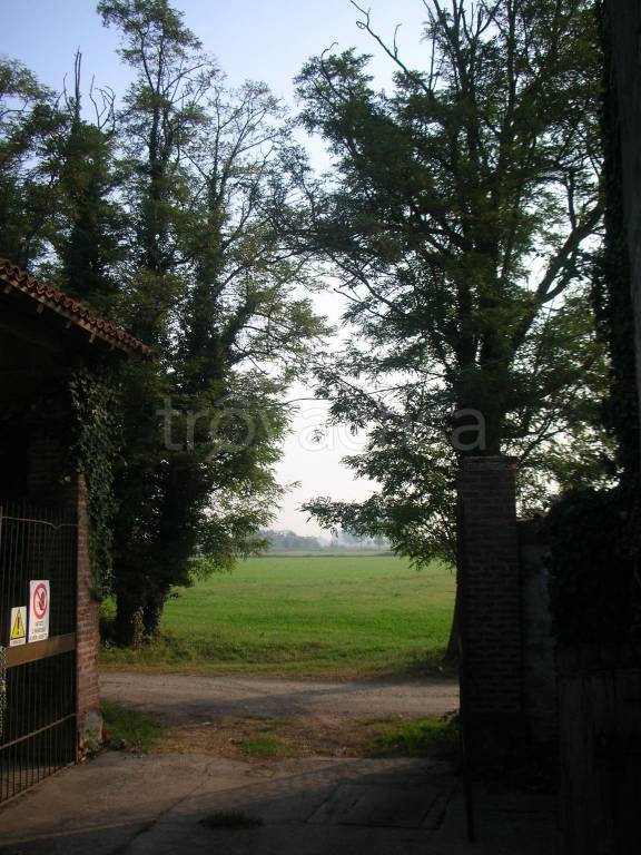 immagine annuncio 5 di 11