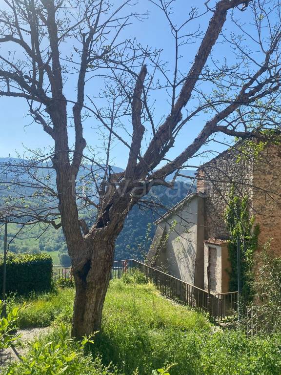 immagine annuncio 4 di 8