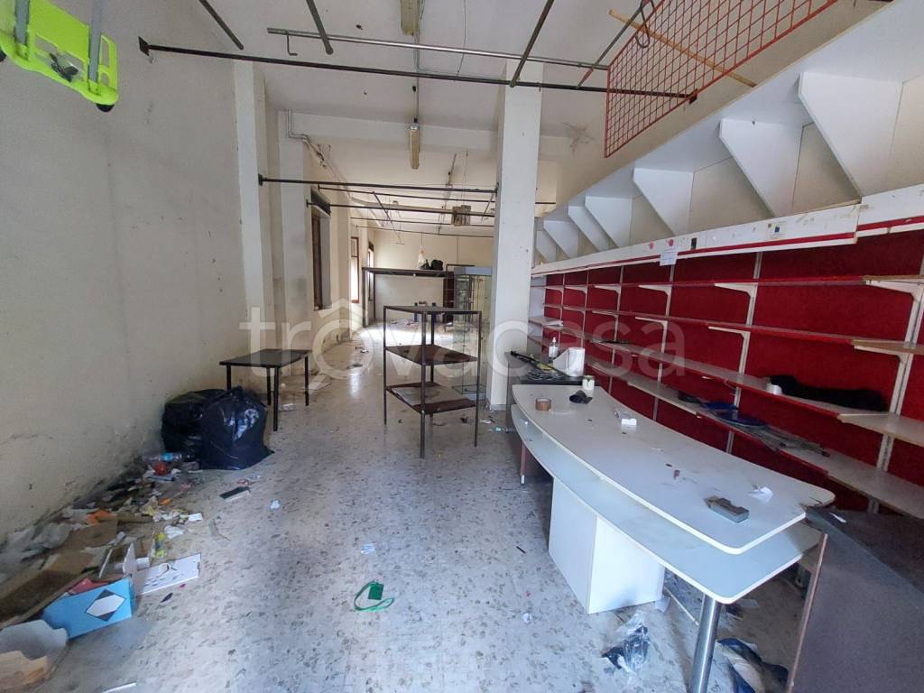 immagine annuncio 3 di 12