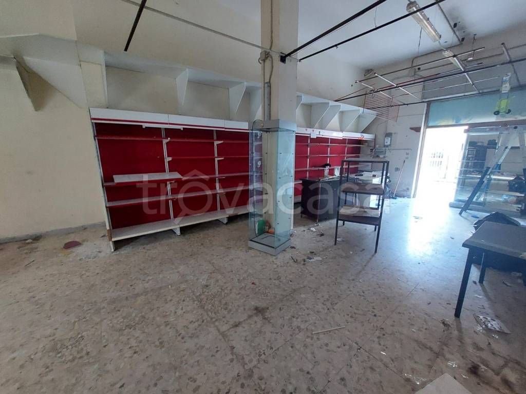 immagine annuncio 2 di 12