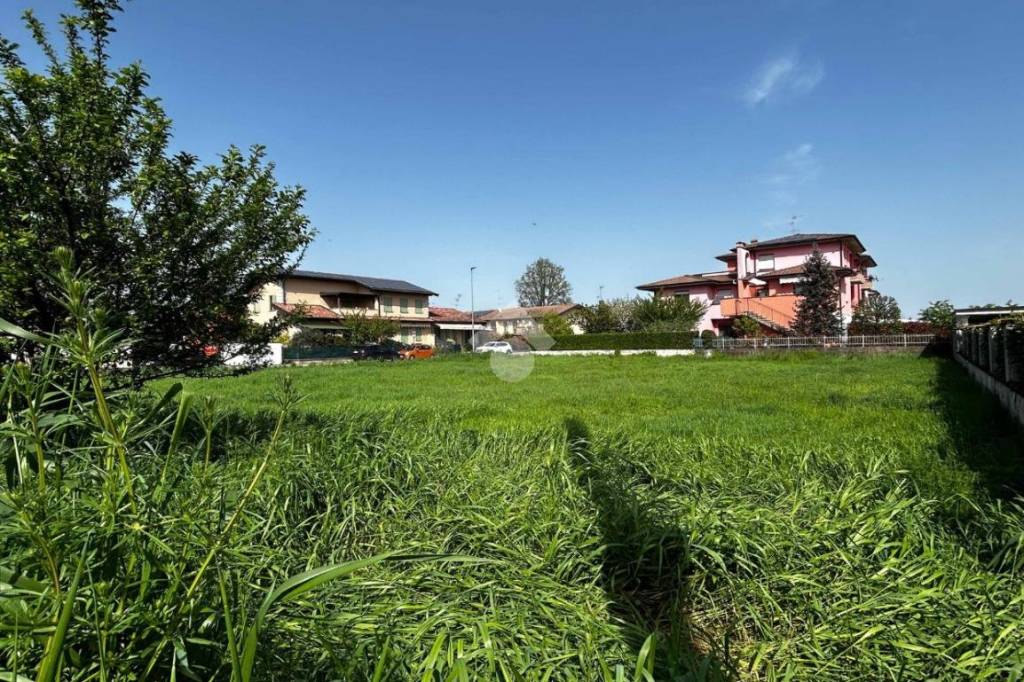 immagine annuncio 3 di 14