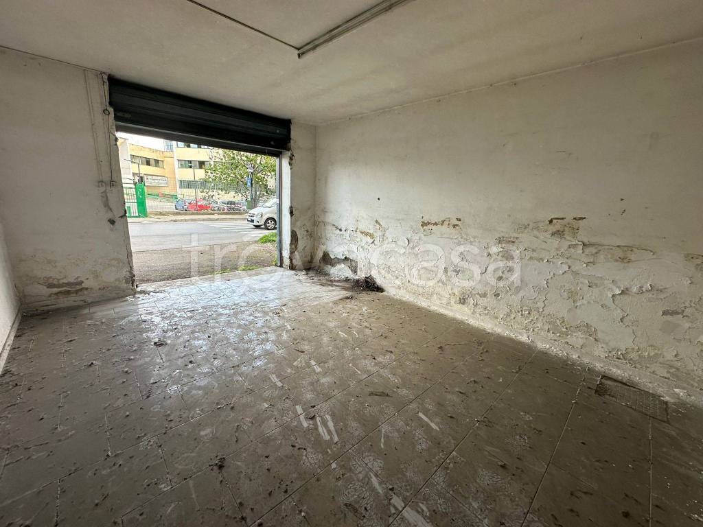 immagine annuncio 1 di 4