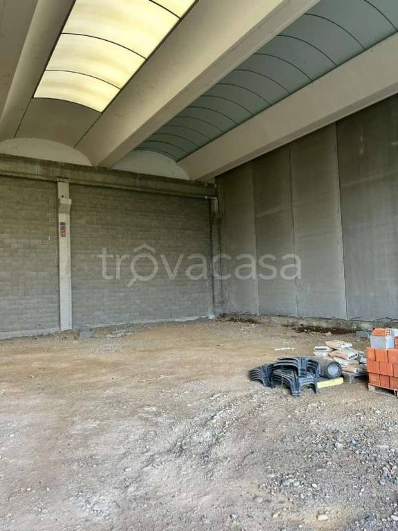 immagine annuncio 11 di 14