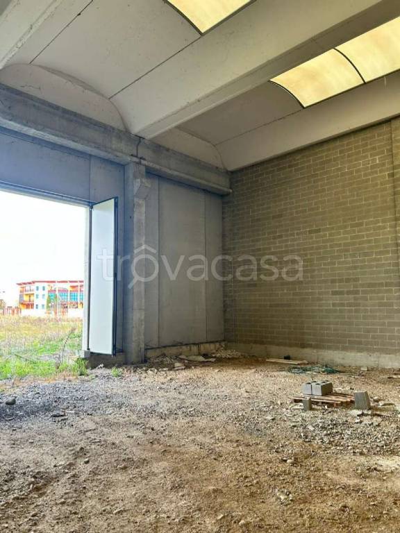 immagine annuncio 13 di 14