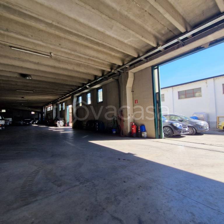 immagine annuncio 7 di 15