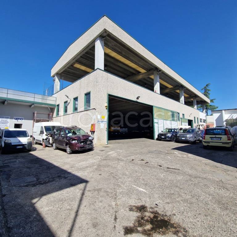 immagine annuncio 2 di 15