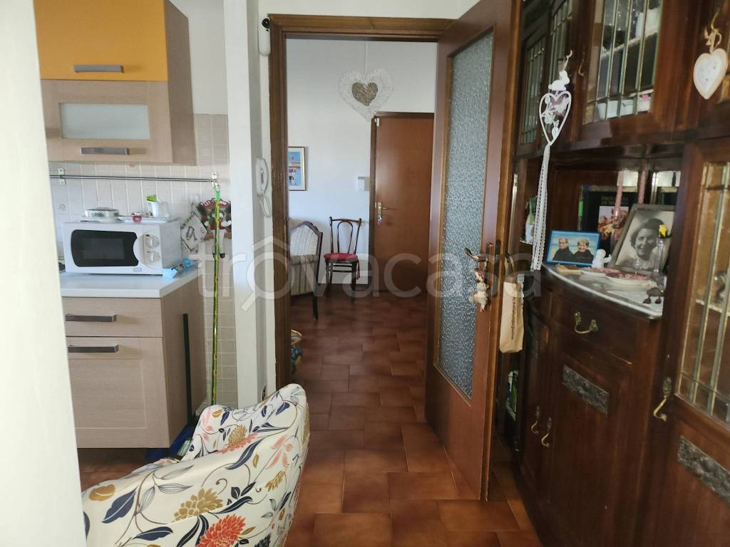 immagine annuncio 1 di 7