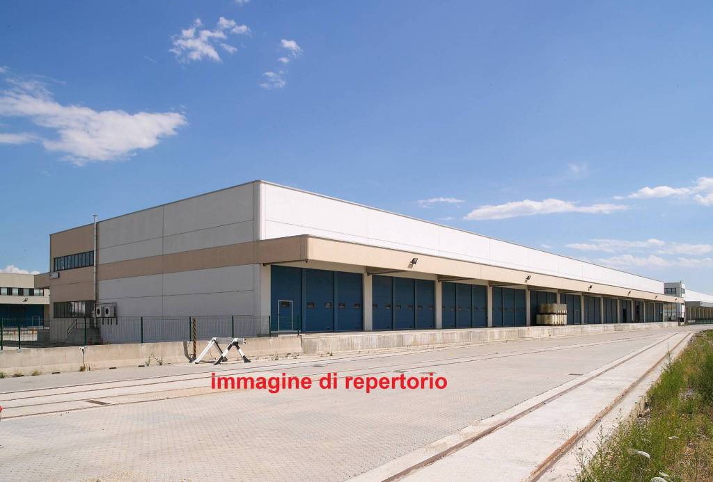 immagine annuncio 4 di 7