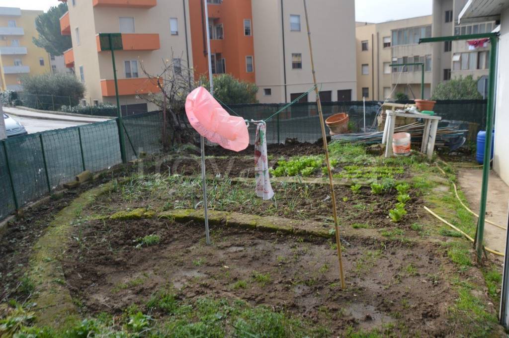immagine annuncio 2 di 6