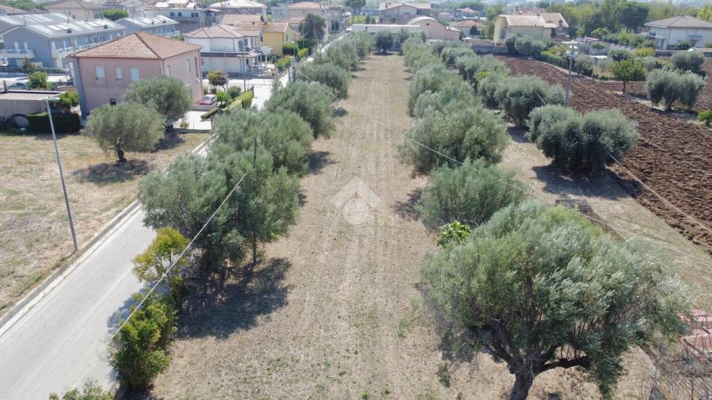 immagine annuncio 6 di 14