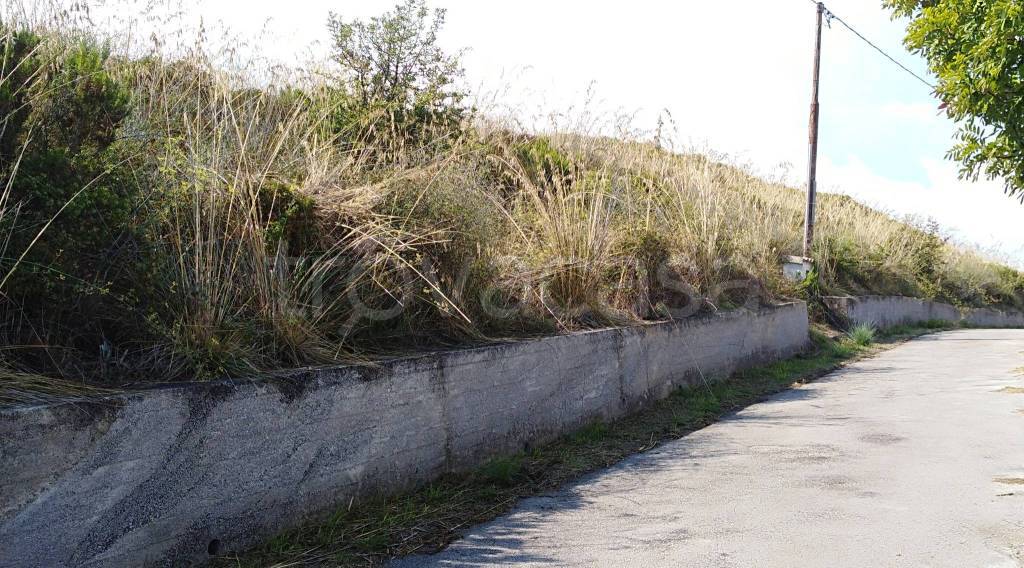 immagine annuncio 8 di 11