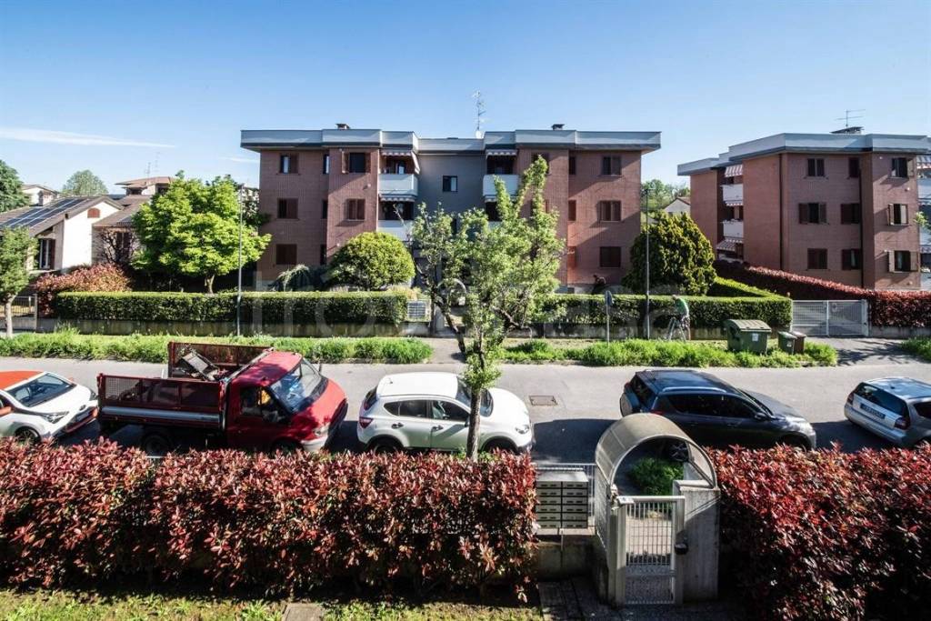 immagine annuncio 8 di 15