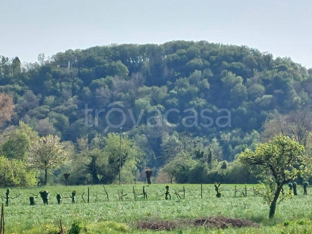 immagine annuncio 1 di 14