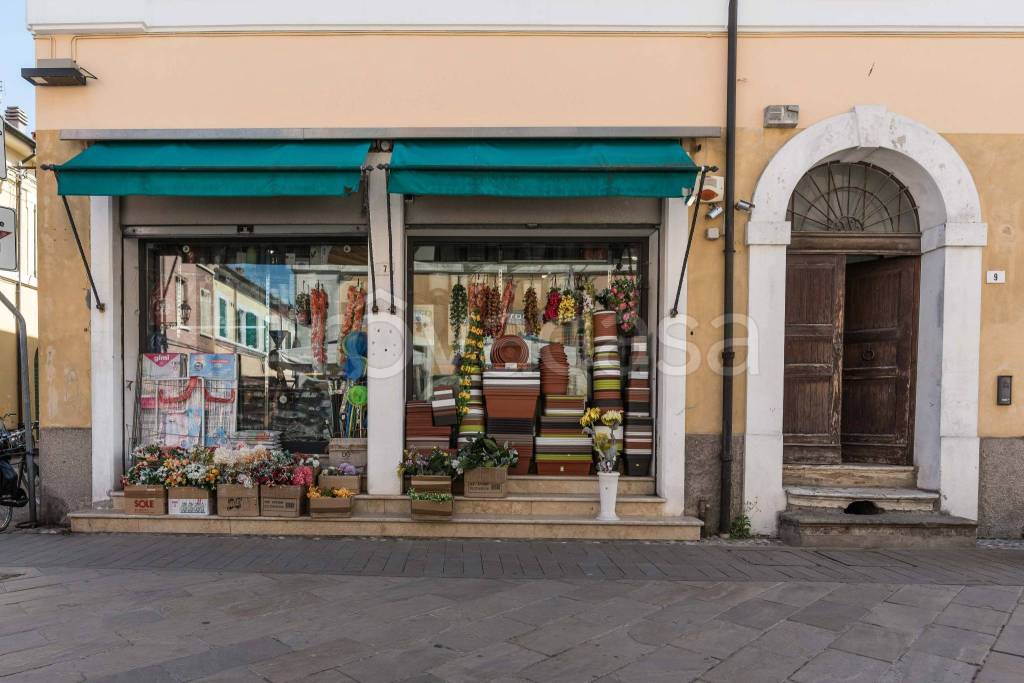 immagine annuncio 4 di 12