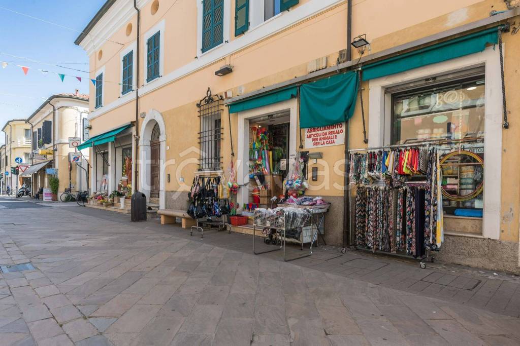 immagine annuncio 5 di 12