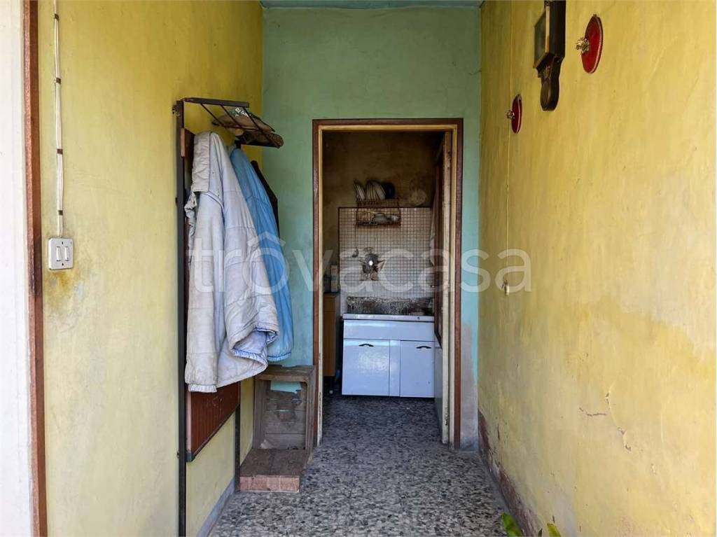 immagine annuncio 9 di 14