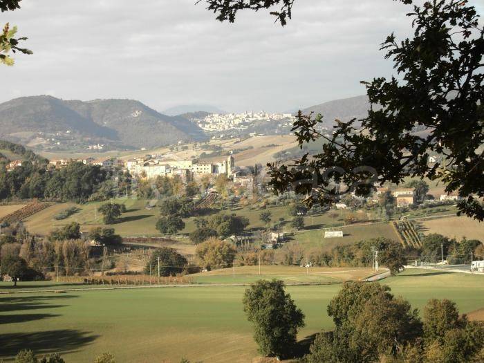 immagine annuncio 7 di 9