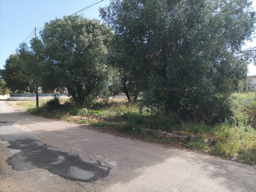 immagine annuncio 3 di 4
