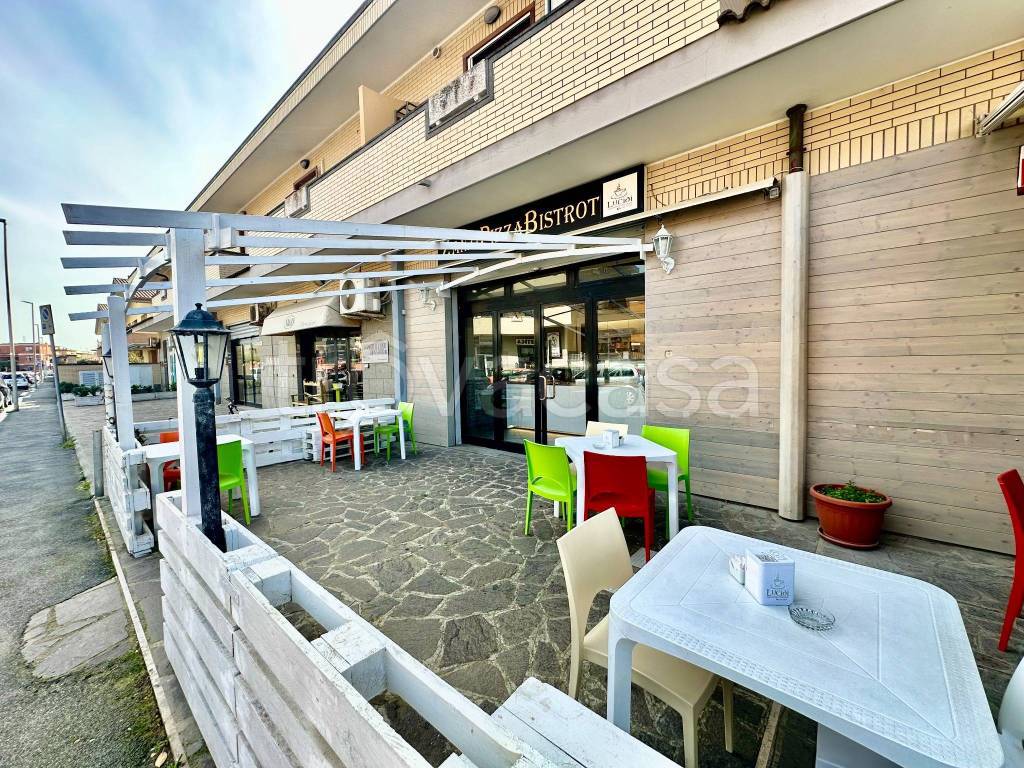 immagine annuncio 3 di 14