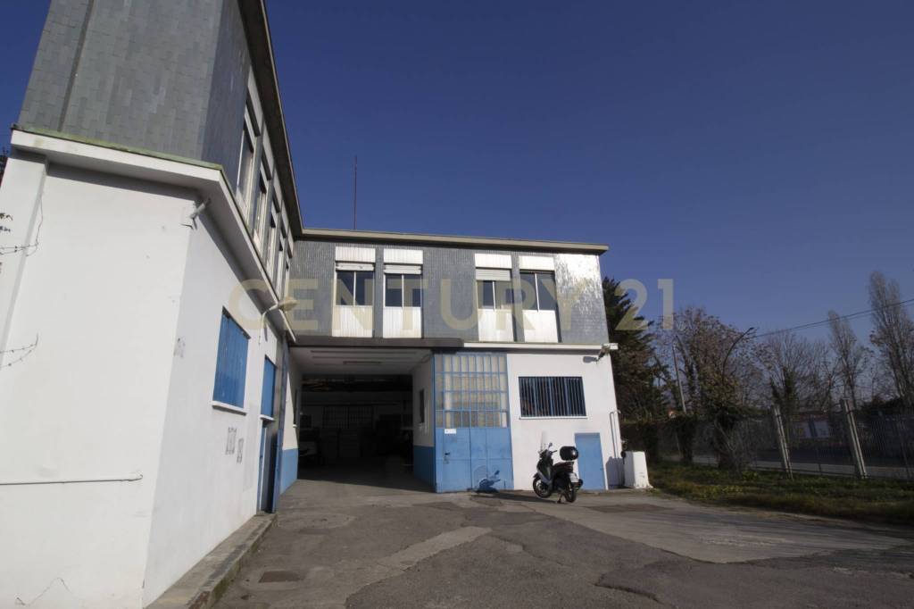 immagine annuncio 7 di 15