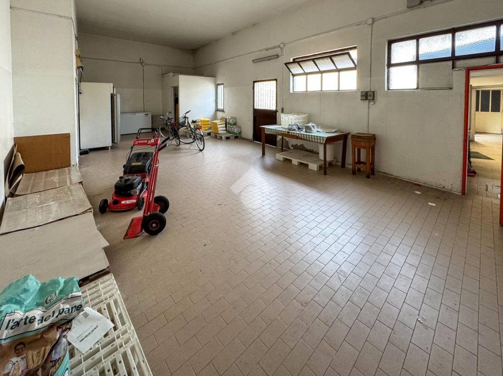 immagine annuncio 9 di 15