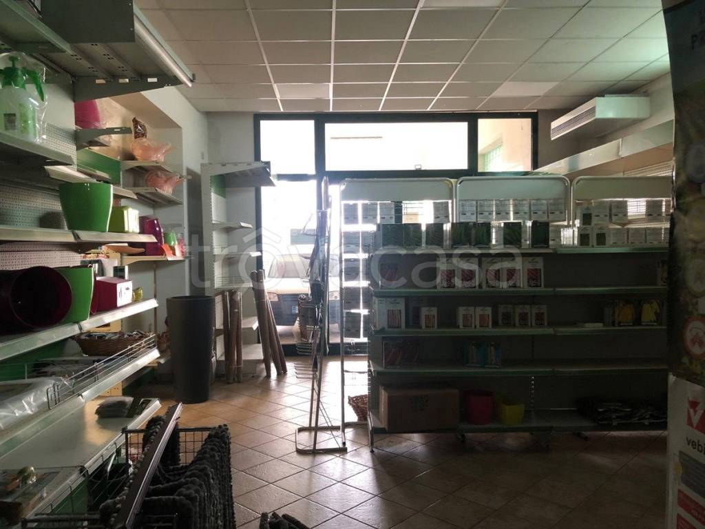 immagine annuncio 3 di 6