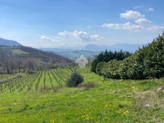 Terreno commerciale in vendita a parolise via nazionale