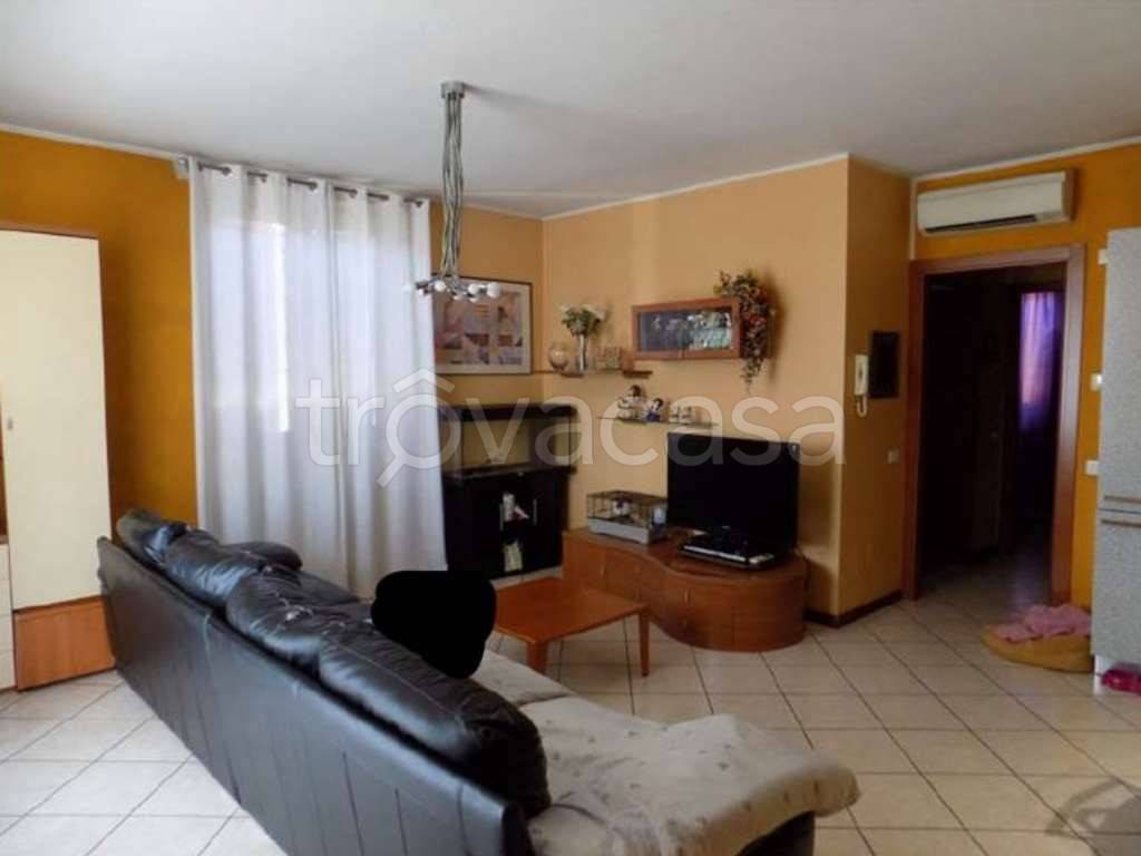 immagine annuncio 1 di 14