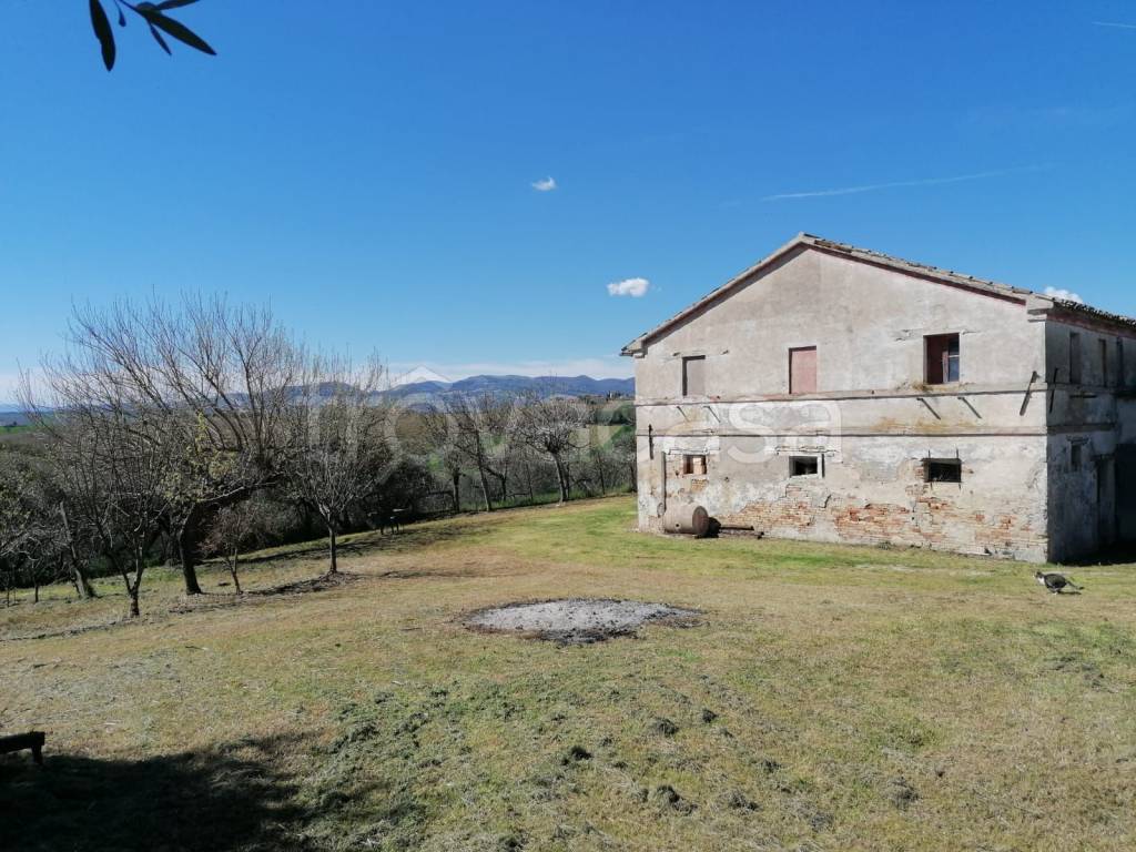 immagine annuncio 3 di 9