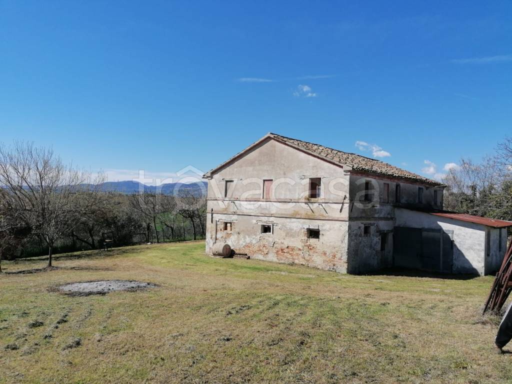 immagine annuncio 5 di 9