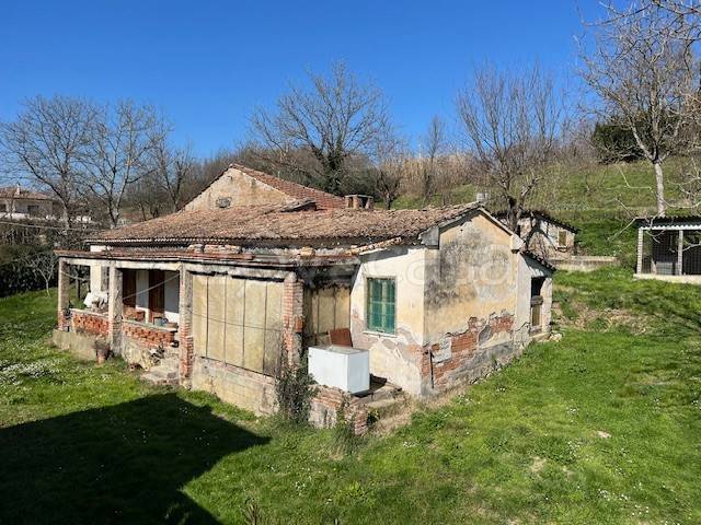 immagine annuncio 3 di 8