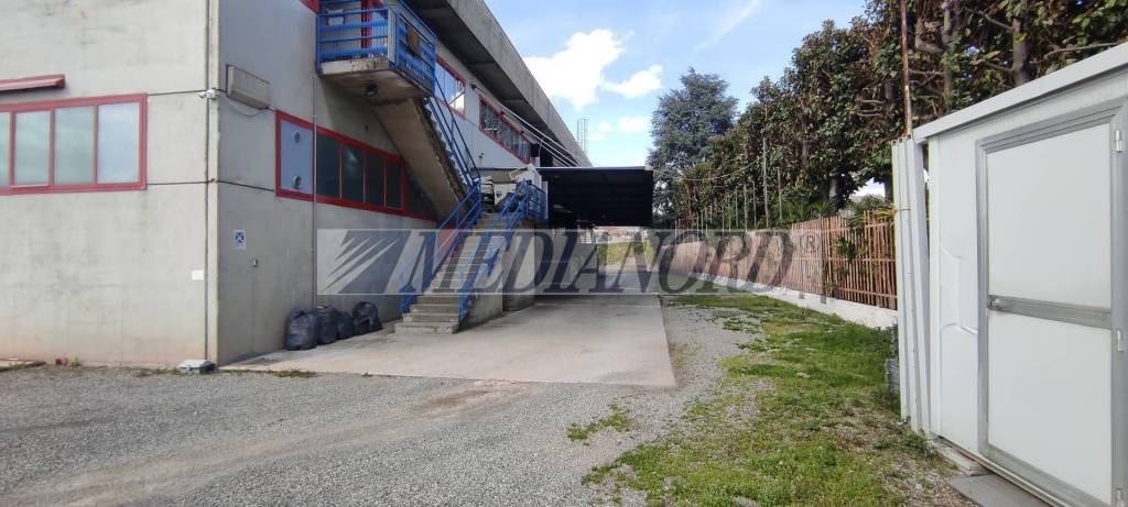 immagine annuncio 9 di 12