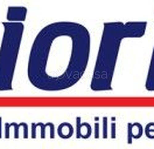 immagine annuncio 2 di 3