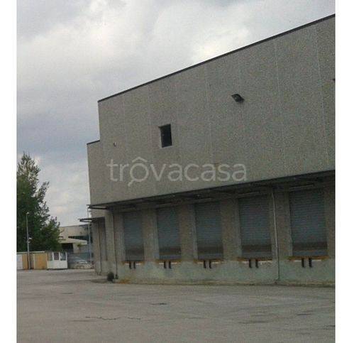 immagine annuncio 1 di 3