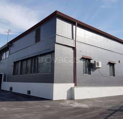 immagine annuncio 2 di 4