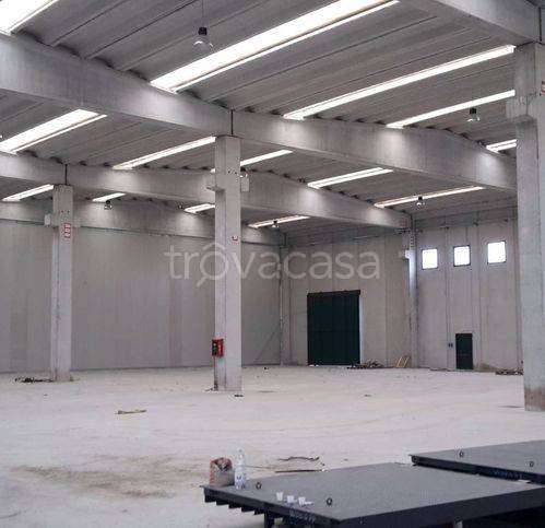 immagine annuncio 4 di 9