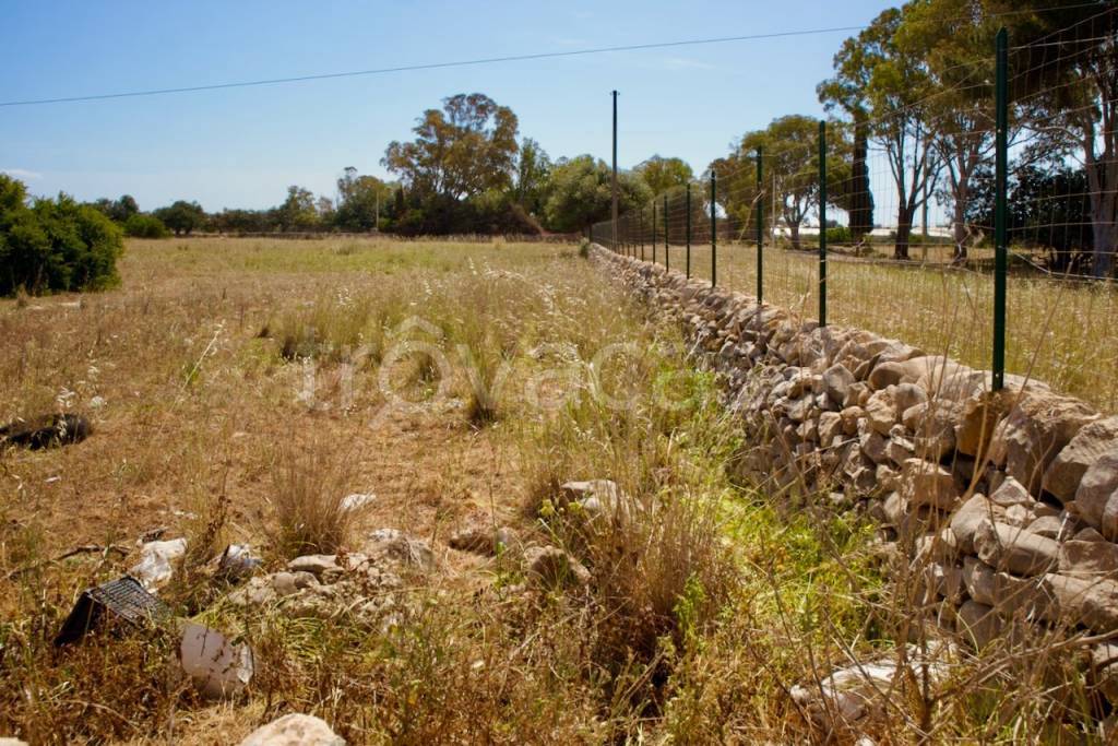 immagine annuncio 4 di 9