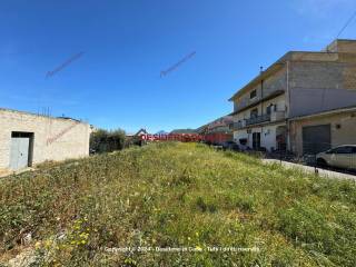 Terreno agricolo in affitto ad altavilla milicia via trieste